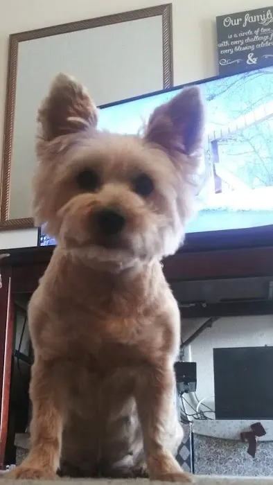 Foxwood Animal Hospital Picture 6