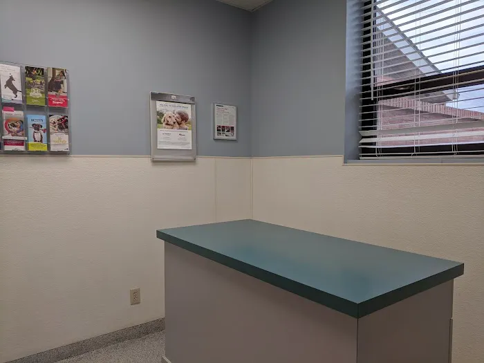 Antioch Dog and Cat Hospital Picture 1