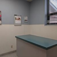 Antioch Dog and Cat Hospital ico