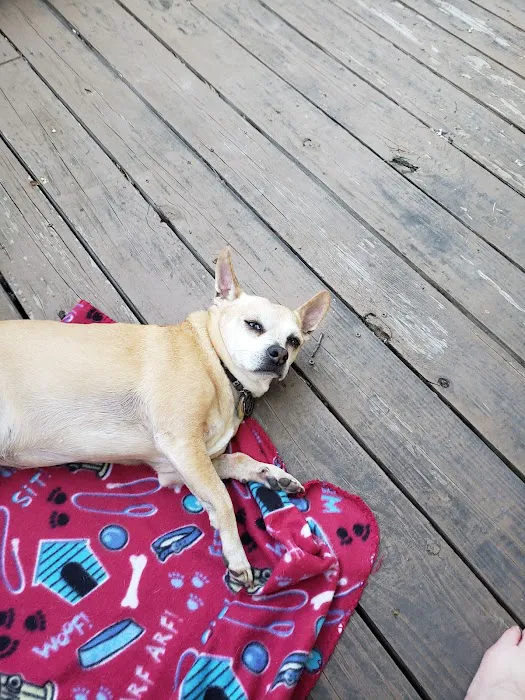 Antioch Dog and Cat Hospital Picture 6