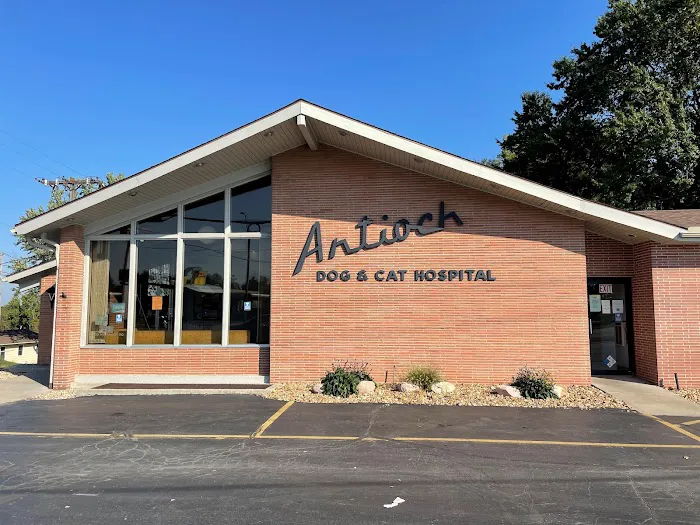 Antioch Dog and Cat Hospital Picture 10
