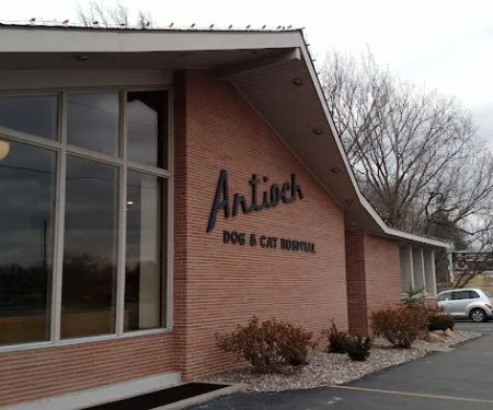 Hodgson Michael L DVM