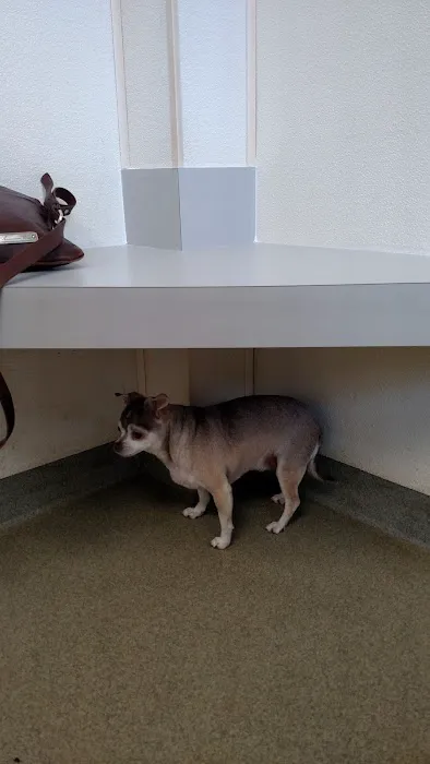 Hodgson Michael L DVM Picture 6