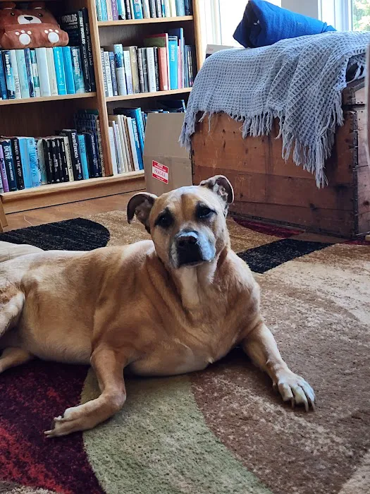 Cavanaugh Pet Hospital Picture 2