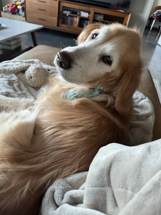 Cavanaugh Pet Hospital Picture 1