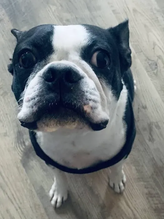 Cavanaugh Pet Hospital Picture 3