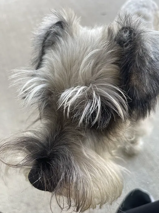 Cavanaugh Pet Hospital Picture 4