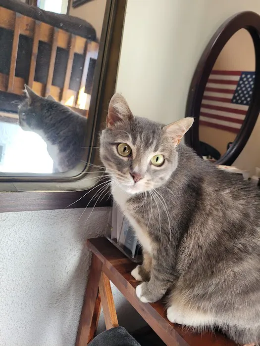 Cavanaugh Pet Hospital Picture 6