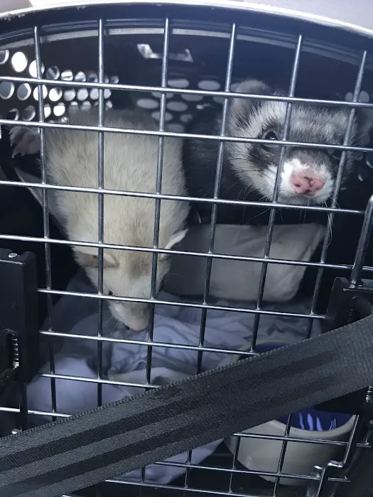 Cavanaugh Pet Hospital Picture 5