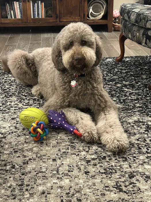 Cavanaugh Pet Hospital Picture 8