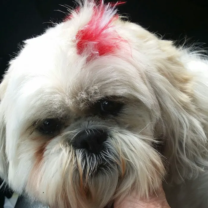 Cavanaugh Pet Hospital Picture 7