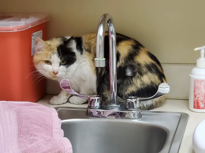 Cavanaugh Pet Hospital Picture 9