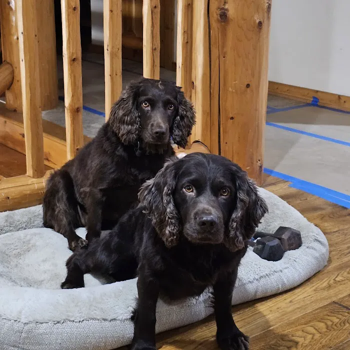 Colbern Road Animal Clinic Picture 4