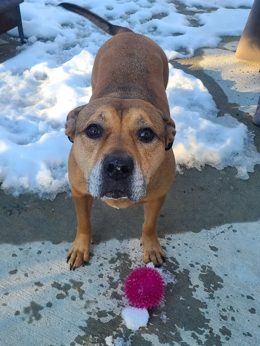 Lakewood Animal Health Center Picture 1