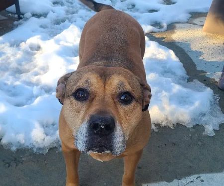 Lakewood Animal Health Center