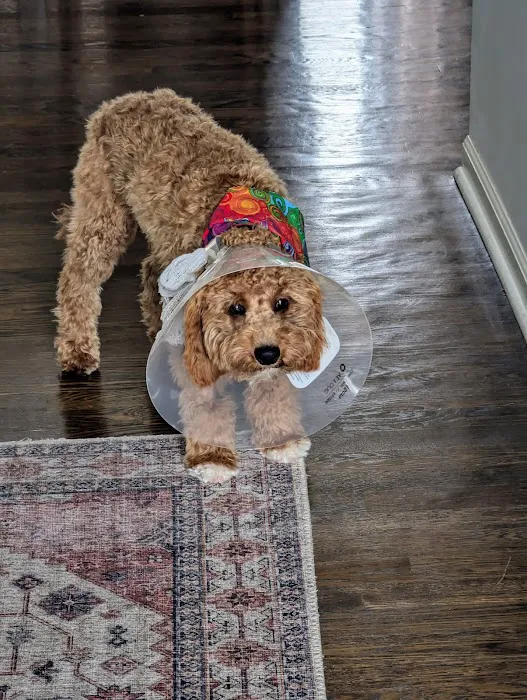 Lakewood Animal Health Center Picture 7