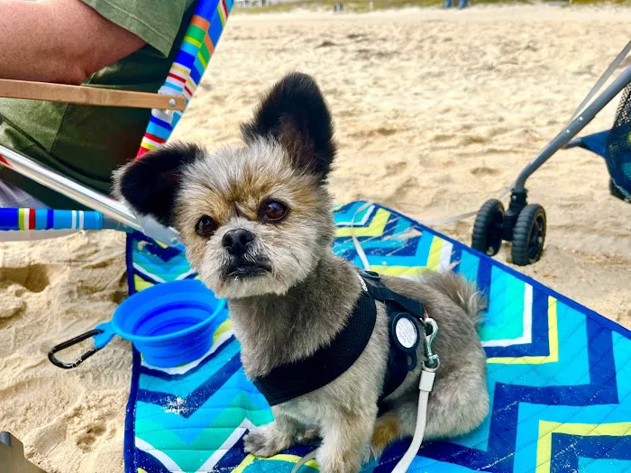 Lakewood Animal Health Center Picture 6