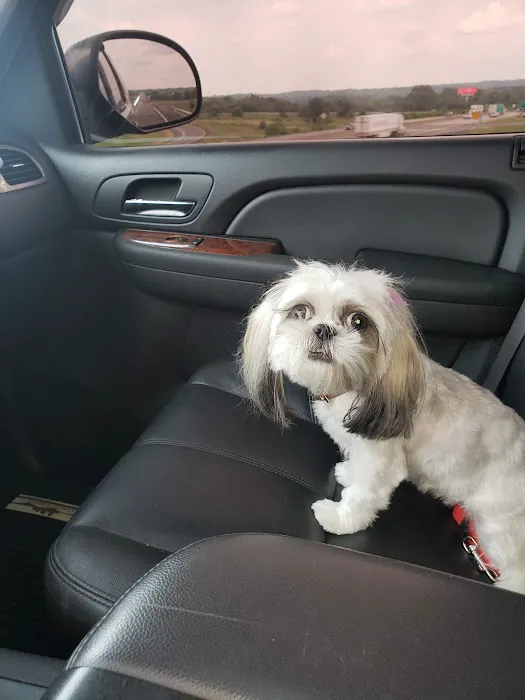 Lakewood Animal Health Center Picture 8