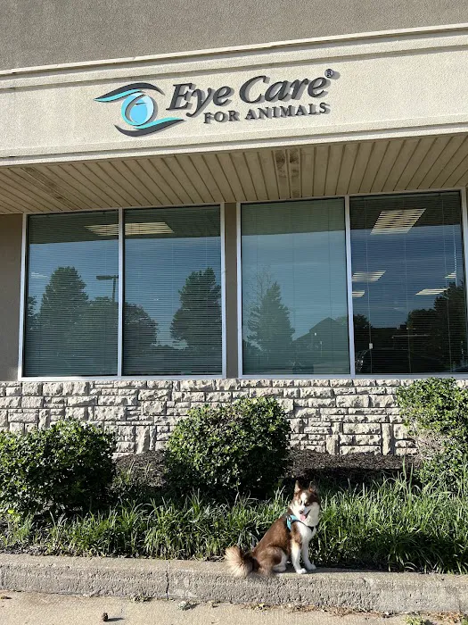 Eye Care for Animals - Lee's Summit Picture 7