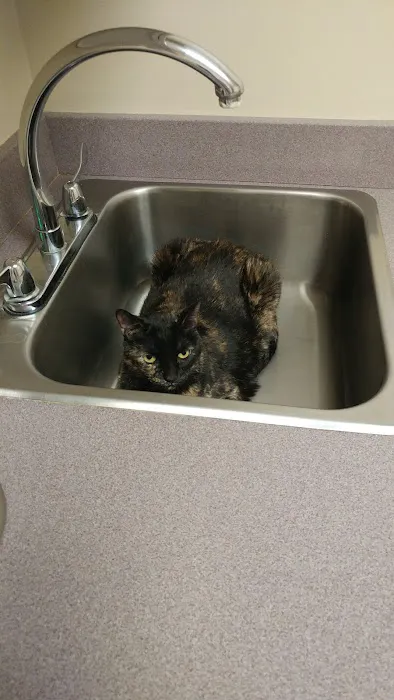 Animal Emergency & Referral Picture 1