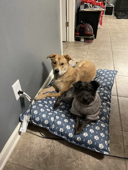 BluePearl Pet Hospital Picture 2