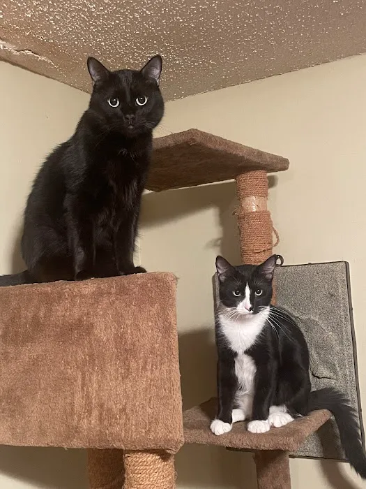 BluePearl Pet Hospital Picture 4