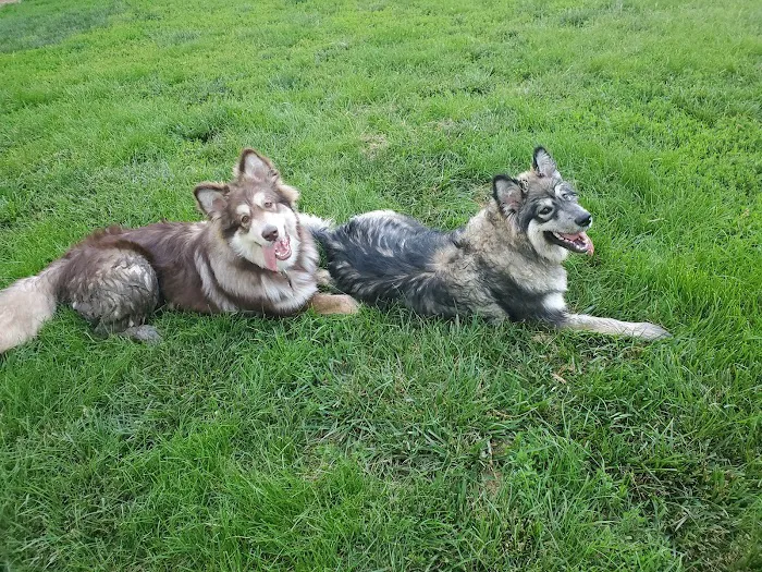 BluePearl Pet Hospital Picture 6