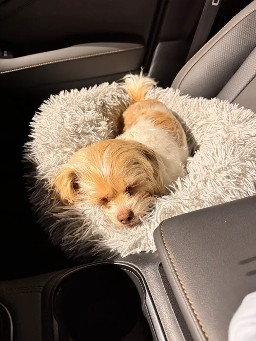 BluePearl Pet Hospital Picture 7