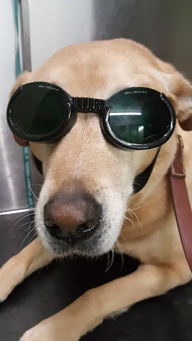 Markway M H Picture 1