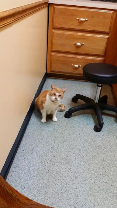 Lake Pet Hospital Picture 2