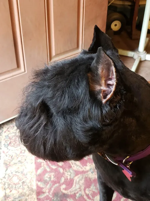 Lake Pet Hospital Picture 6