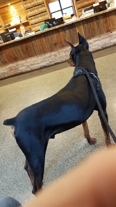 Lake Pet Hospital Picture 8