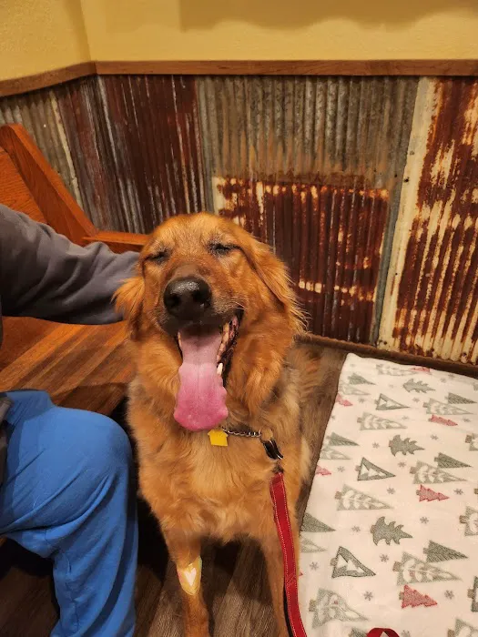 Lake Pet Hospital Picture 7