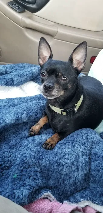 Lake Pet Hospital Picture 10