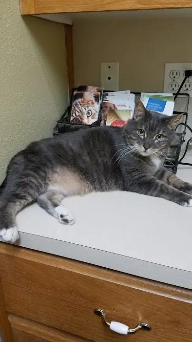 Lake Pet Hospital Picture 9