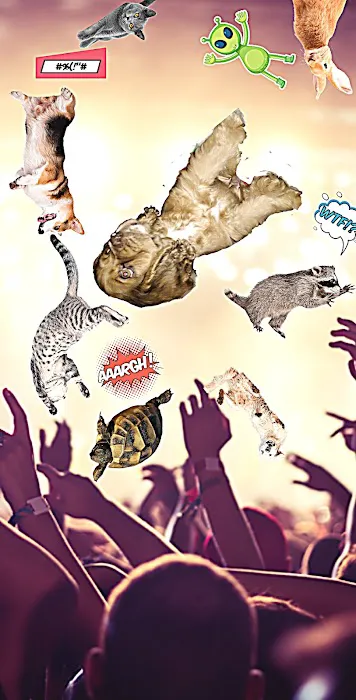 Eldon Spay & Neuter Clinic Picture 6