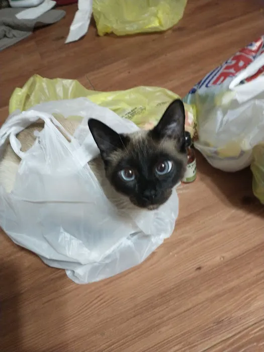 Eldon Spay & Neuter Clinic Picture 5