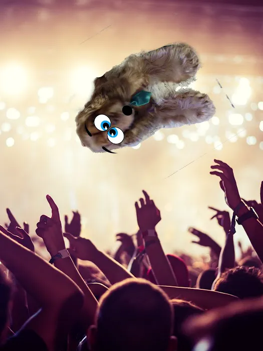 Eldon Spay & Neuter Clinic Picture 8