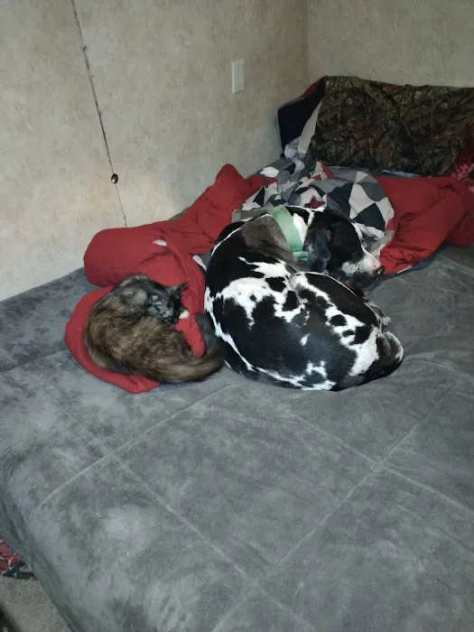 R Veterinary at Laurie Picture 1