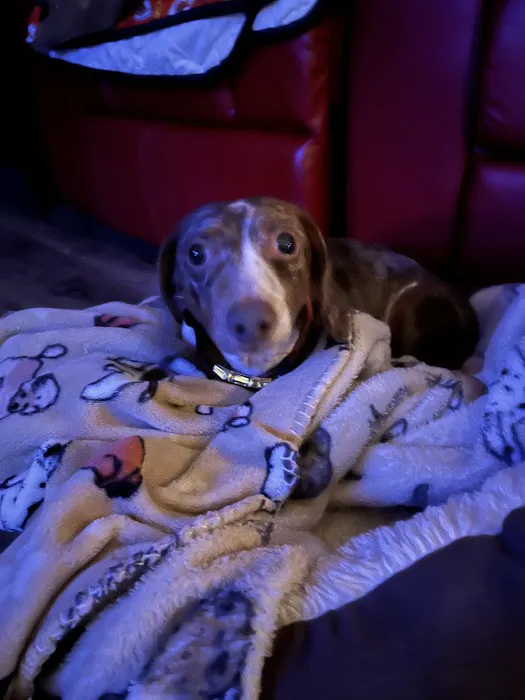 R Veterinary at Laurie Picture 5