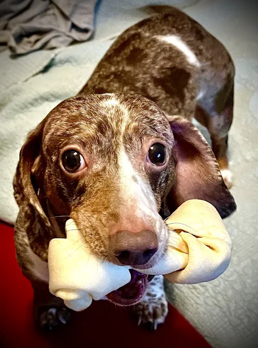 R Veterinary at Laurie Picture 4