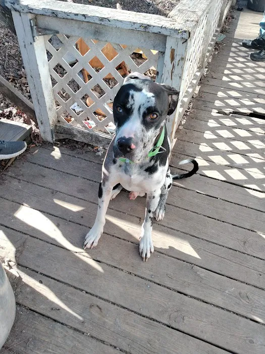 R Veterinary at Laurie Picture 3