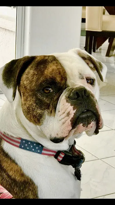 R Veterinary at Laurie Picture 6