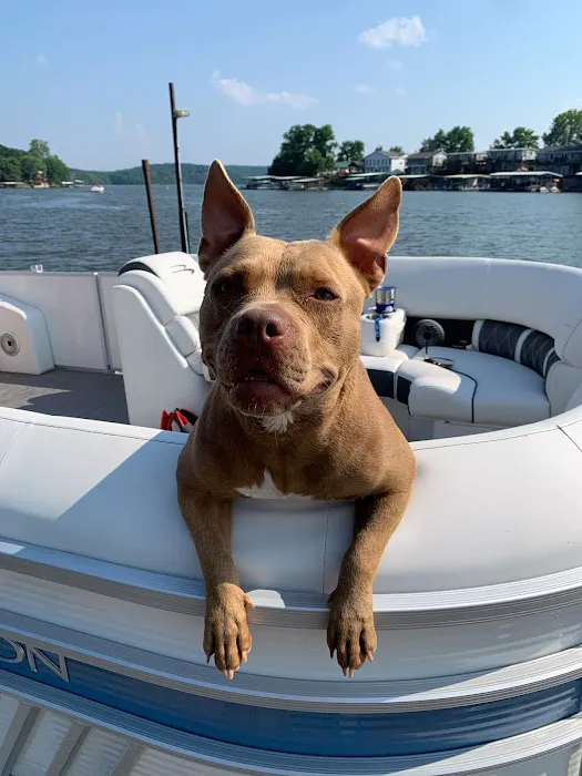 R Veterinary at Laurie Picture 8