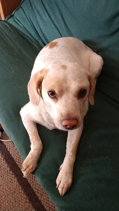 R Veterinary at Laurie Picture 9