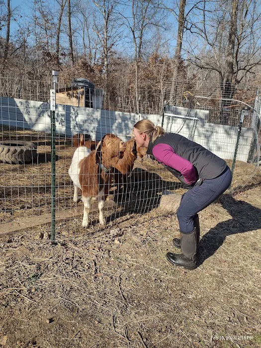 Custom Cattle Care, LLC Picture 1