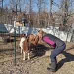 Custom Cattle Care, LLC