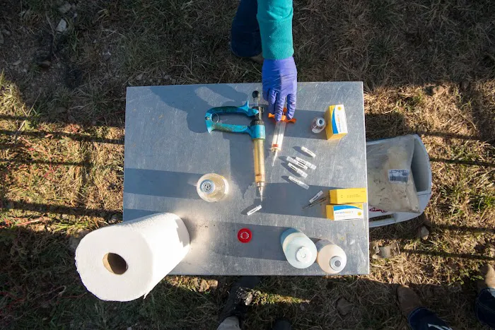 Custom Cattle Care, LLC Picture 5