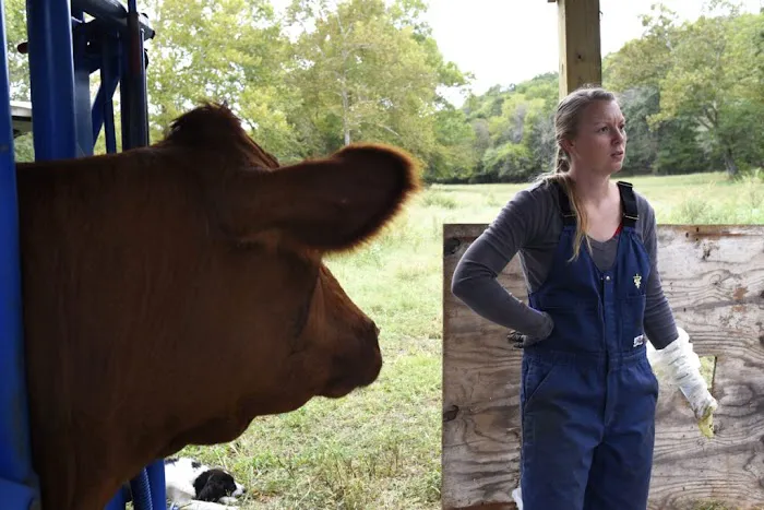 Custom Cattle Care, LLC Picture 6