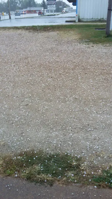 Livestock Veterinary Services Picture 1